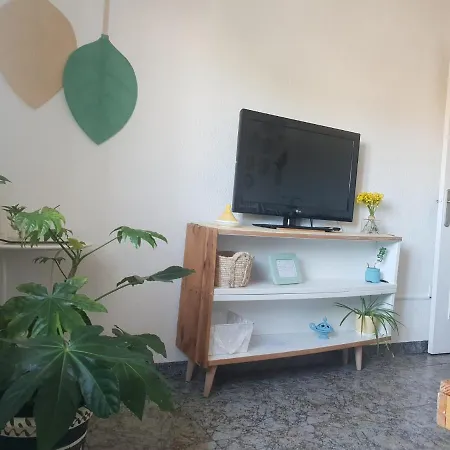 Bonito Y Coqueto Córdoba